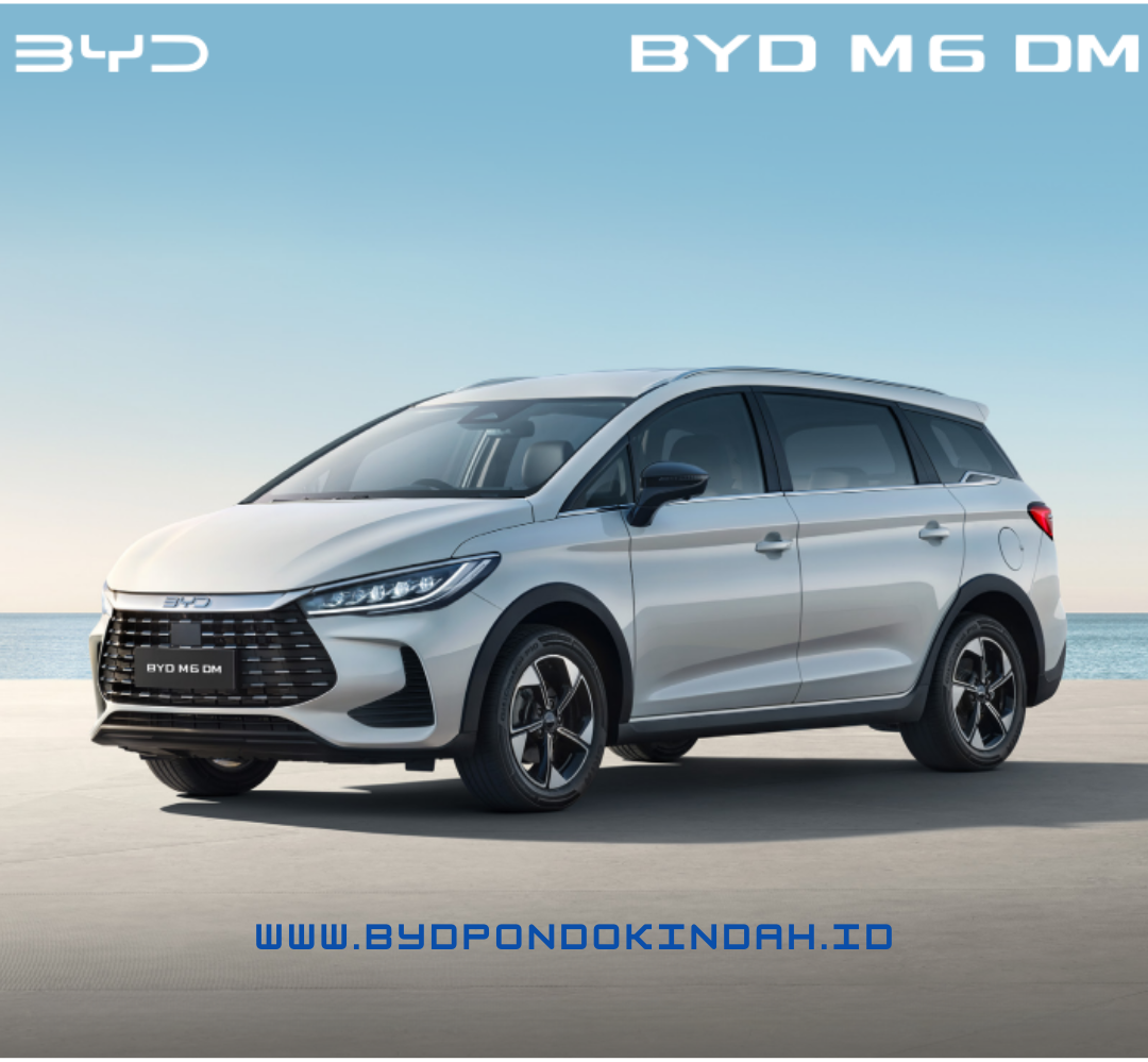 BYD M6 DM